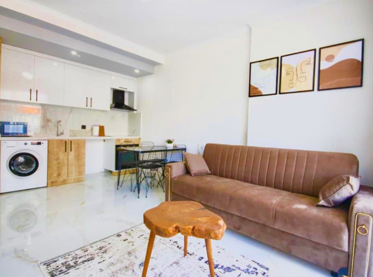 1 bedroom flat Avsallar