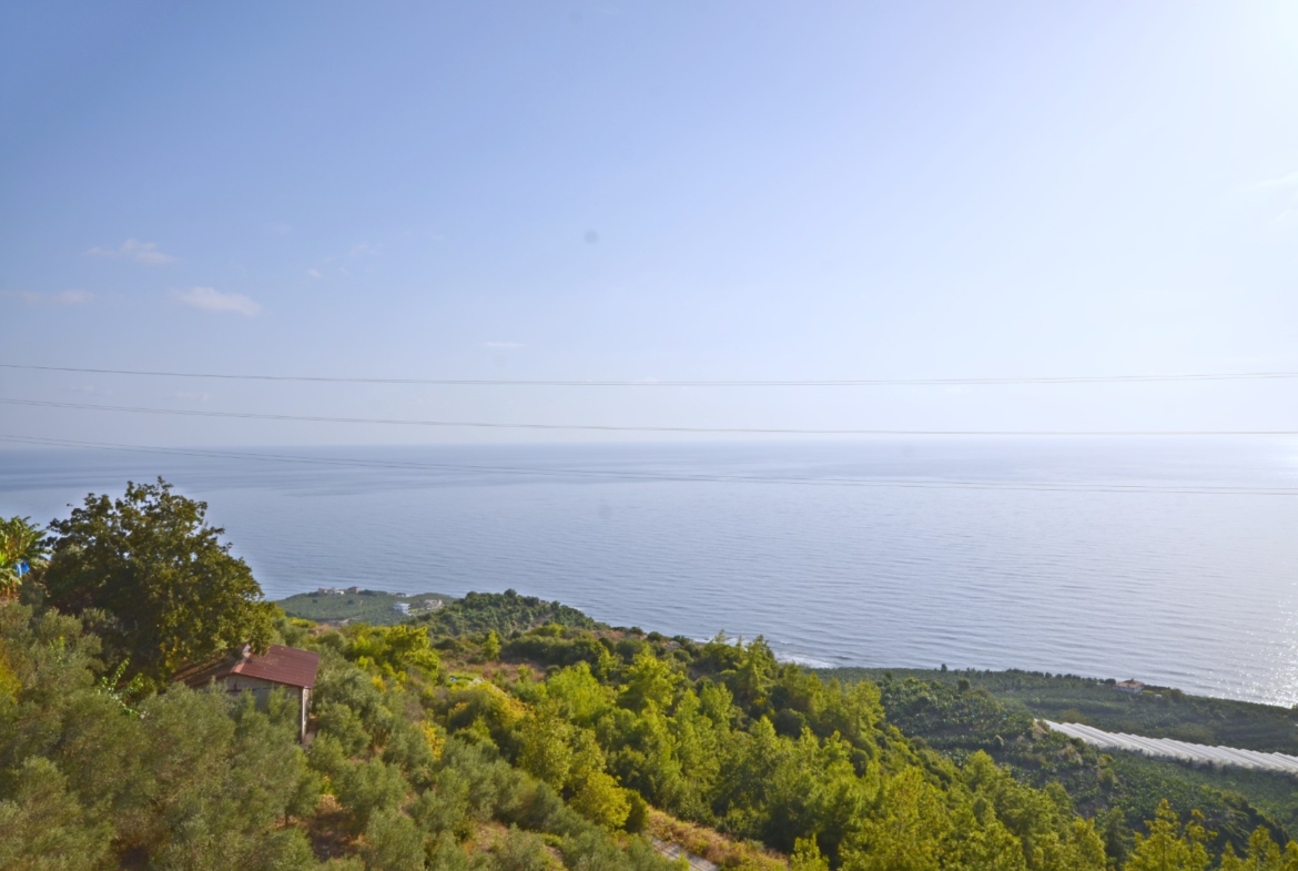 Kargıcak luxury villa sale