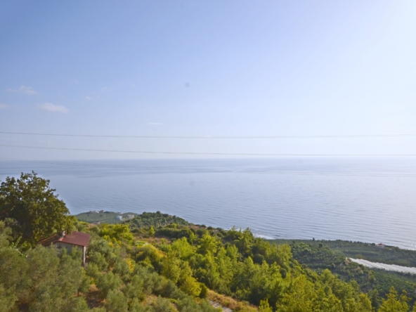 Kargıcak luxury villa sale