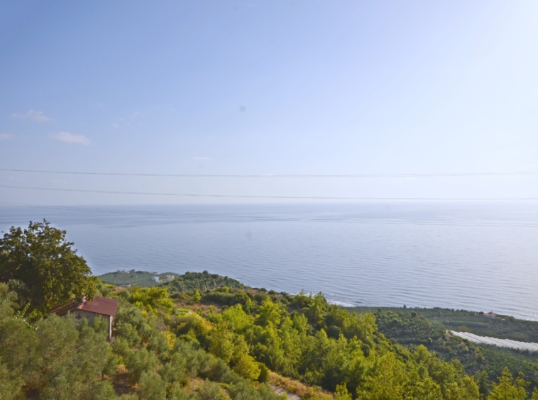 Kargıcak luxury villa sale